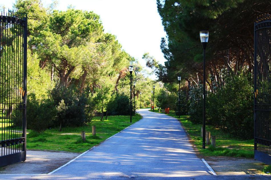 Carducci 83 Pescara Exterior foto